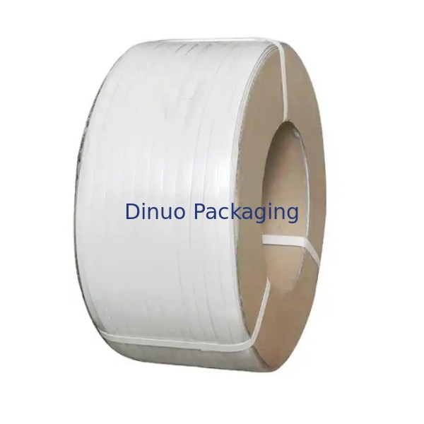 20cm*18cm de noyau de ceinture en PP à haute tension retenue pour les applications lourdes