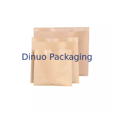 Paquet de 100 enveloppes de sacs en papier kraft plats biodégradables pour sandwichs au maïs soufflé aux biscuits