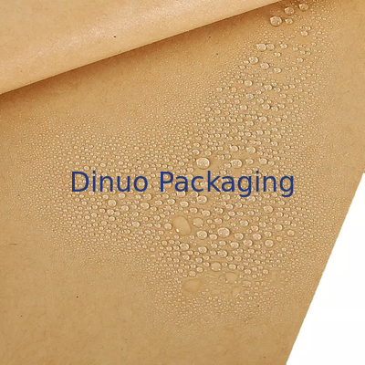 Paquet de 100 enveloppes de sacs en papier kraft plats biodégradables pour sandwichs au maïs soufflé aux biscuits